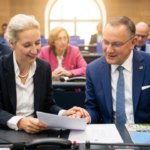 afd umfrage