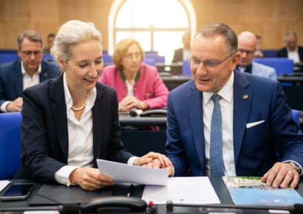 afd umfrage